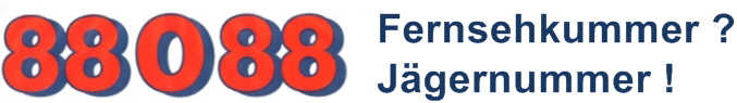 Fernsehdienst